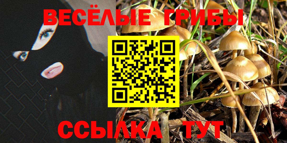 купить наркоту  Вход с VPN  Североморск  Псилоцибиновые грибы Psilocybine cubensis 