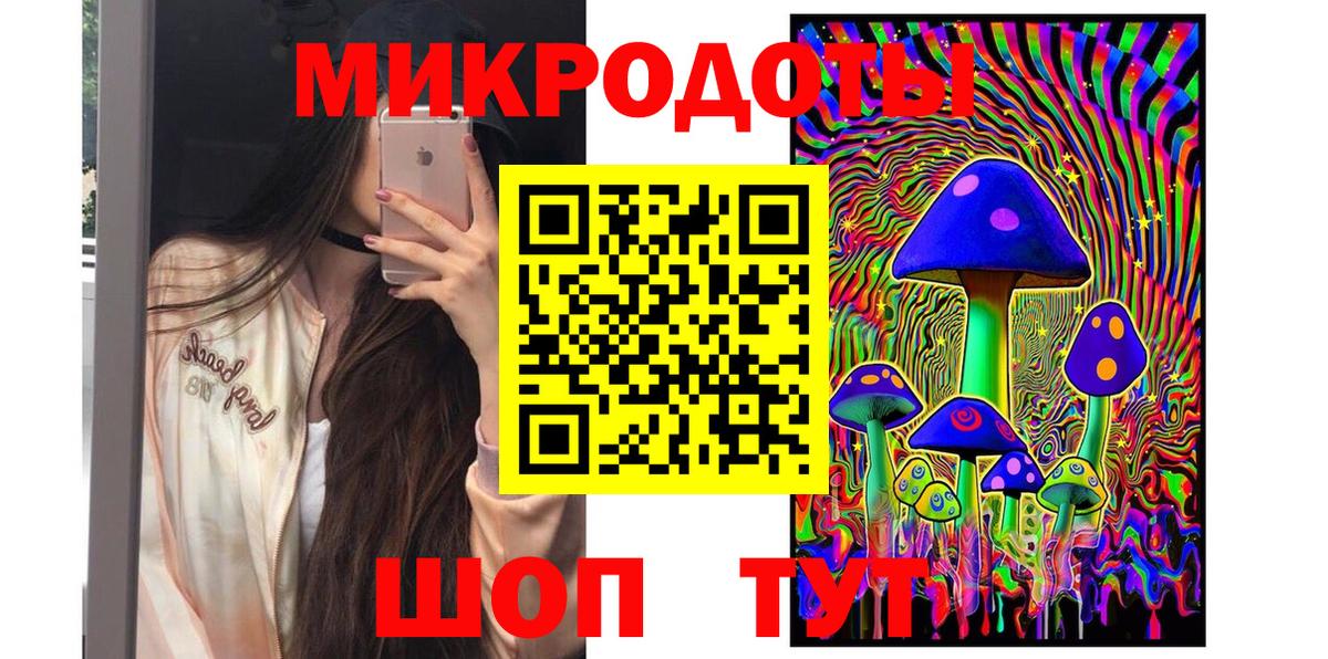 Псилоцибиновые грибы Psilocybe Североморск